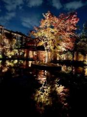 画像(180x240)・拡大画像(480x640)