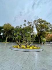 画像(180x240)・拡大画像(480x640)