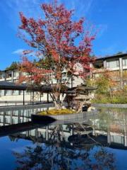 画像(180x240)・拡大画像(480x640)