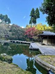 画像(180x240)・拡大画像(480x640)