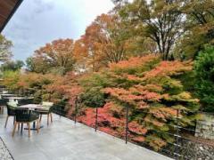 画像(240x180)・拡大画像(640x480)