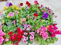 画像(240x180)・拡大画像(640x480)