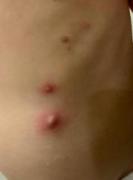 画像(133x180)・拡大画像(476x640)