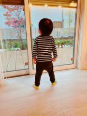 画像(180x240)・拡大画像(480x640)