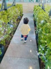 画像(180x240)・拡大画像(480x640)