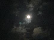 画像(180x135)・拡大画像(640x480)