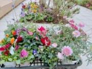 画像(180x135)・拡大画像(640x480)