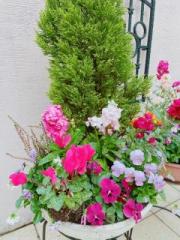 画像(180x240)・拡大画像(480x640)