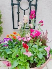 画像(180x240)・拡大画像(480x640)