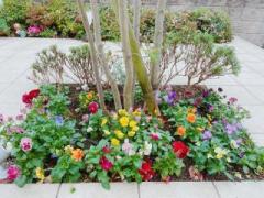 画像(240x180)・拡大画像(640x480)