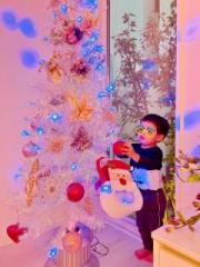 画像(180x240)・拡大画像(480x640)