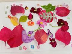 画像(240x180)・拡大画像(640x480)