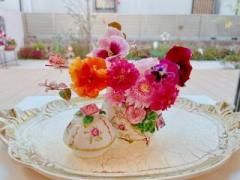 �摜(240x180)�E�g��摜(640x480)