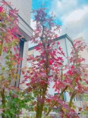 �摜(180x240)�E�g��摜(480x640)