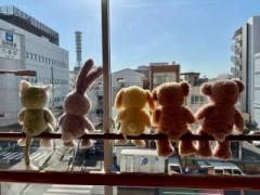 �摜(240x180)�E�g��摜(640x480)