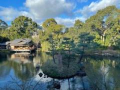 �摜(240x180)�E�g��摜(640x480)