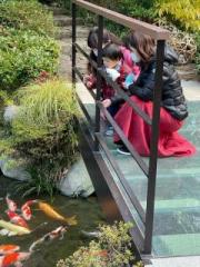 �摜(180x240)�E�g��摜(480x640)