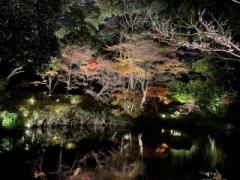 �摜(240x180)�E�g��摜(640x480)