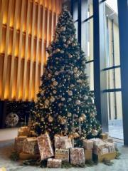 �摜(180x240)�E�g��摜(480x640)