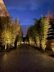 �摜(180x240)�E�g��摜(480x640)