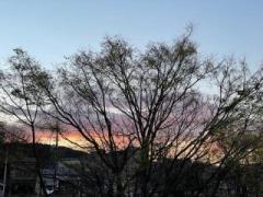 �摜(240x180)�E�g��摜(640x480)