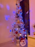 �摜(135x180)�E�g��摜(480x640)