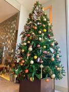 �摜(135x180)�E�g��摜(480x640)