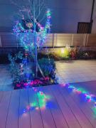 �摜(135x180)�E�g��摜(480x640)