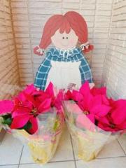 �摜(180x240)�E�g��摜(480x640)