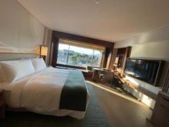 �摜(240x180)�E�g��摜(640x480)