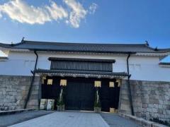 �摜(240x180)�E�g��摜(640x480)