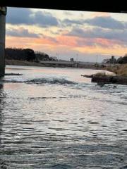 画像(180x240)・拡大画像(480x640)