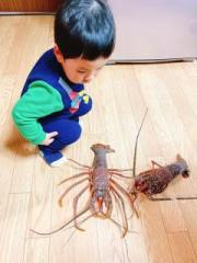 画像(180x240)・拡大画像(480x640)