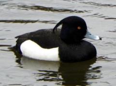 �摜(240x177)�E�g��摜(640x473)