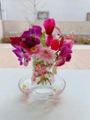 �摜(180x240)�E�g��摜(480x640)