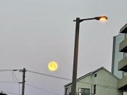 �摜(180x135)�E�g��摜(640x480)