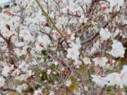 �摜(180x135)�E�g��摜(640x480)