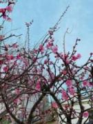 �摜(135x180)�E�g��摜(480x640)