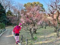 �摜(240x180)�E�g��摜(640x480)