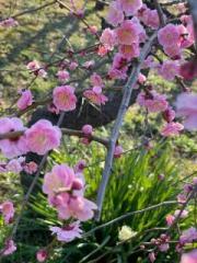 �摜(180x240)�E�g��摜(480x640)