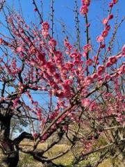 �摜(180x240)�E�g��摜(480x640)