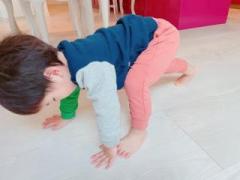 �摜(240x180)�E�g��摜(480x360)