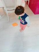 �摜(135x180)�E�g��摜(360x480)