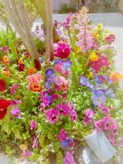 �摜(180x240)�E�g��摜(360x480)