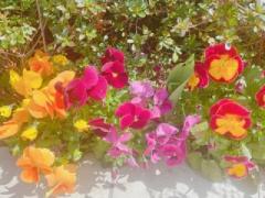 �摜(240x180)�E�g��摜(480x360)