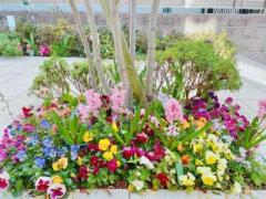 �摜(240x180)�E�g��摜(640x480)