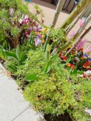 �摜(180x240)�E�g��摜(480x640)