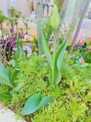 �摜(180x240)�E�g��摜(480x640)