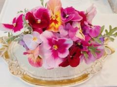 �摜(240x180)�E�g��摜(640x480)