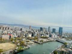 画像(240x180)・拡大画像(640x480)